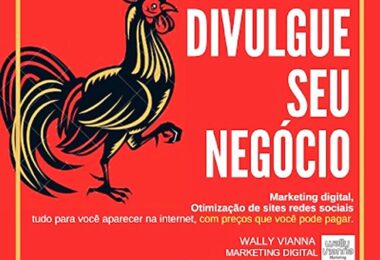 wallace-vianna-consultor-consultoria-marketing-digital-autonomo-freelancer-rj-rio-janeiro