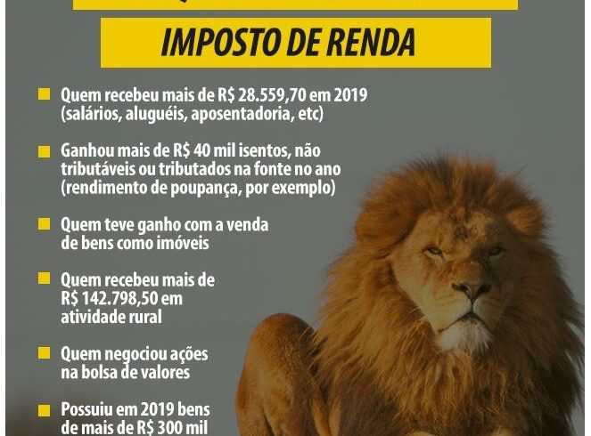 2024 - IMPOSTO DE RENDA 02 - Cópia (2)