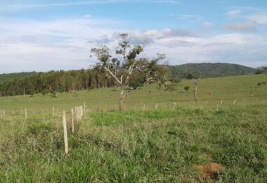 terreno em bonfim mg 31 99526 5839