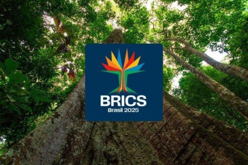 Brics têm nova identidade visual para cúpula no Brasil; veja significado